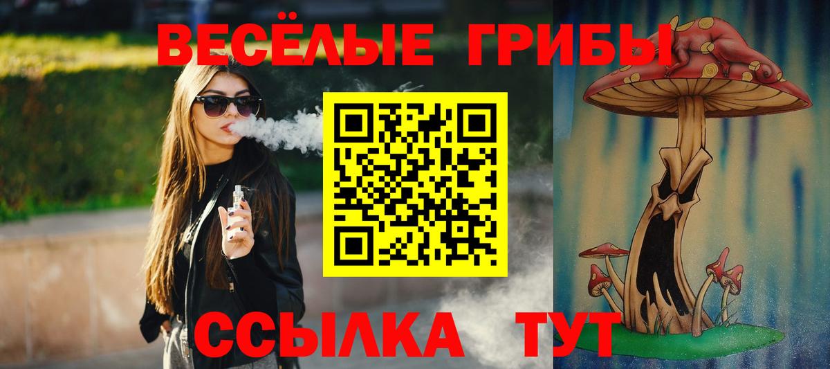 Кизилюрт  Псилоцибиновые грибы Psilocybe  Вход с VPN 